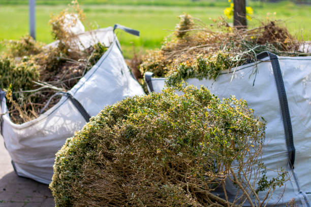 Best Commercial Junk Removal  in Cave Springs, AR